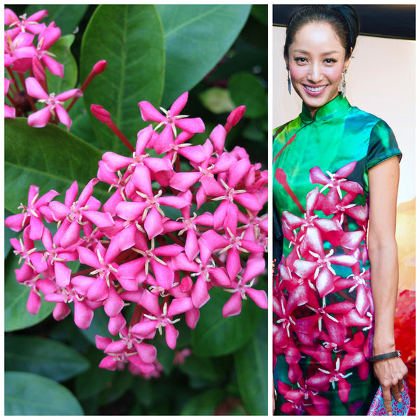 Coco Chiang Looks Gorgeous in Our Pink Ixora and Green Leaves Print Silk Qipao.